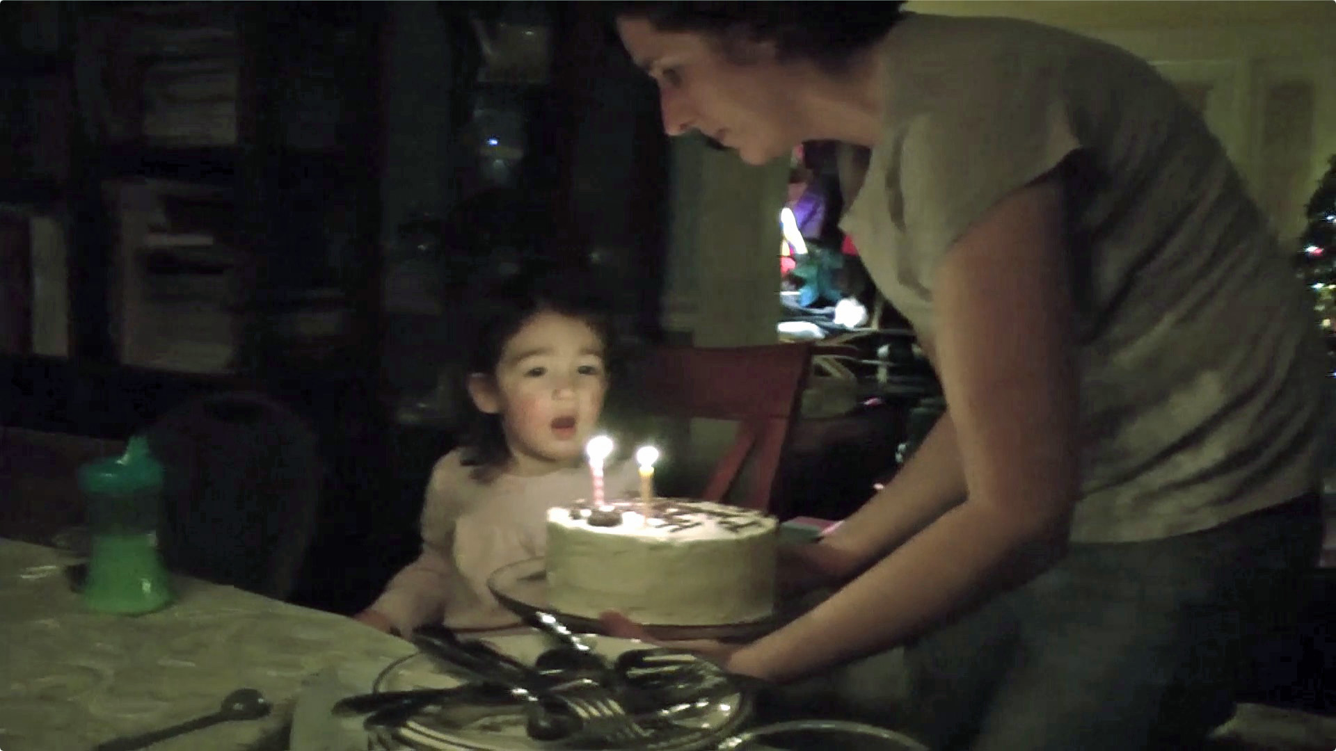 Sophie 2nd Birthday 2014