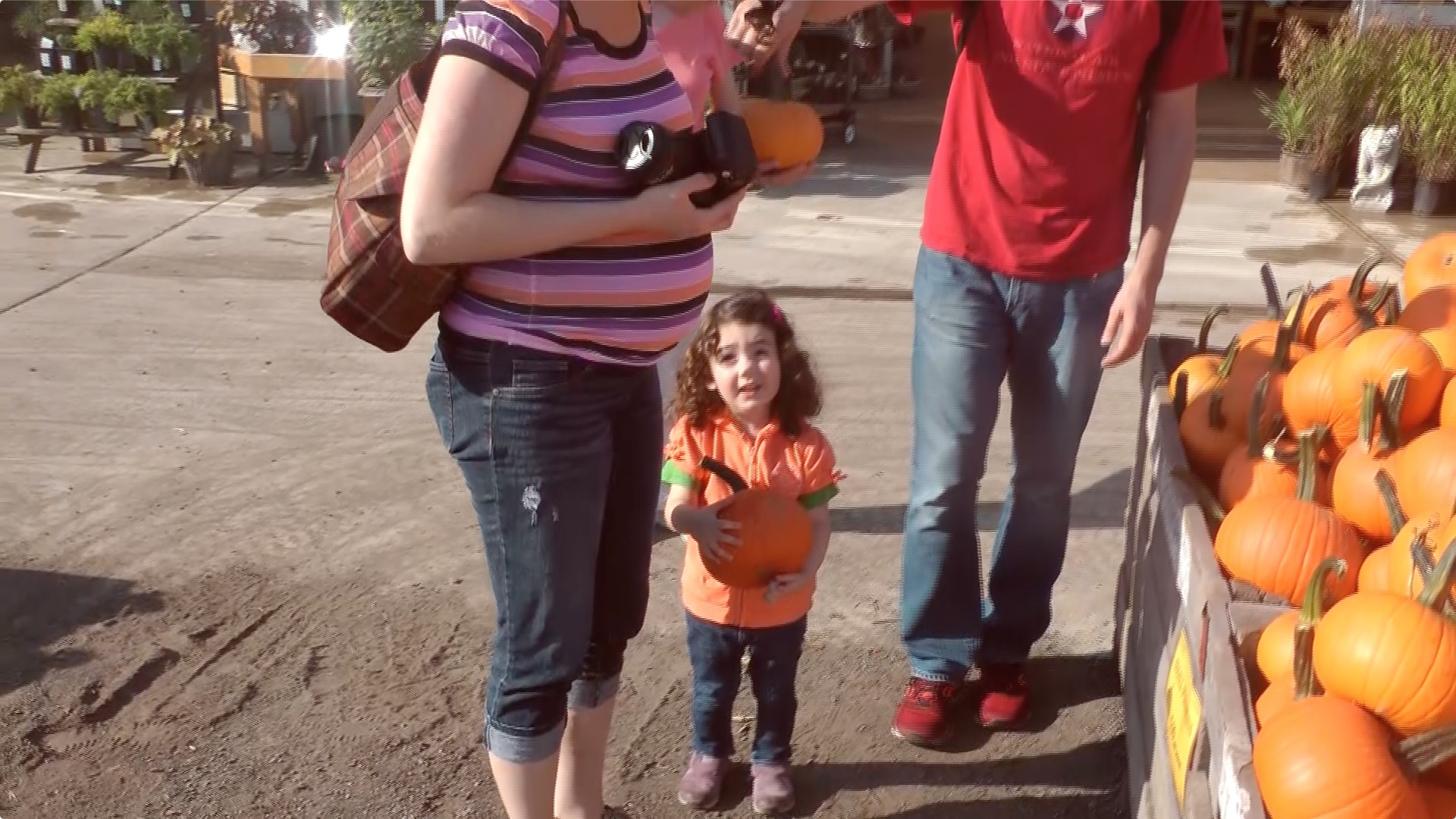 Linvilla Orchards 2015